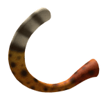 Savannah Cat Tail